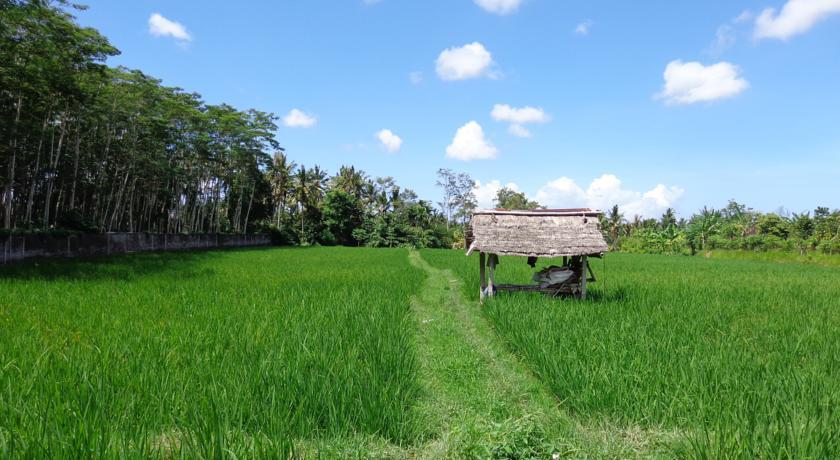 Angel House Homestay Ubud Екстериор снимка